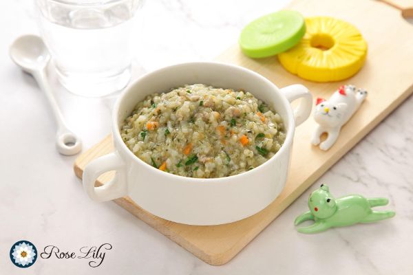 10M+ 翠青洋蔥銀鮭 大寶粥